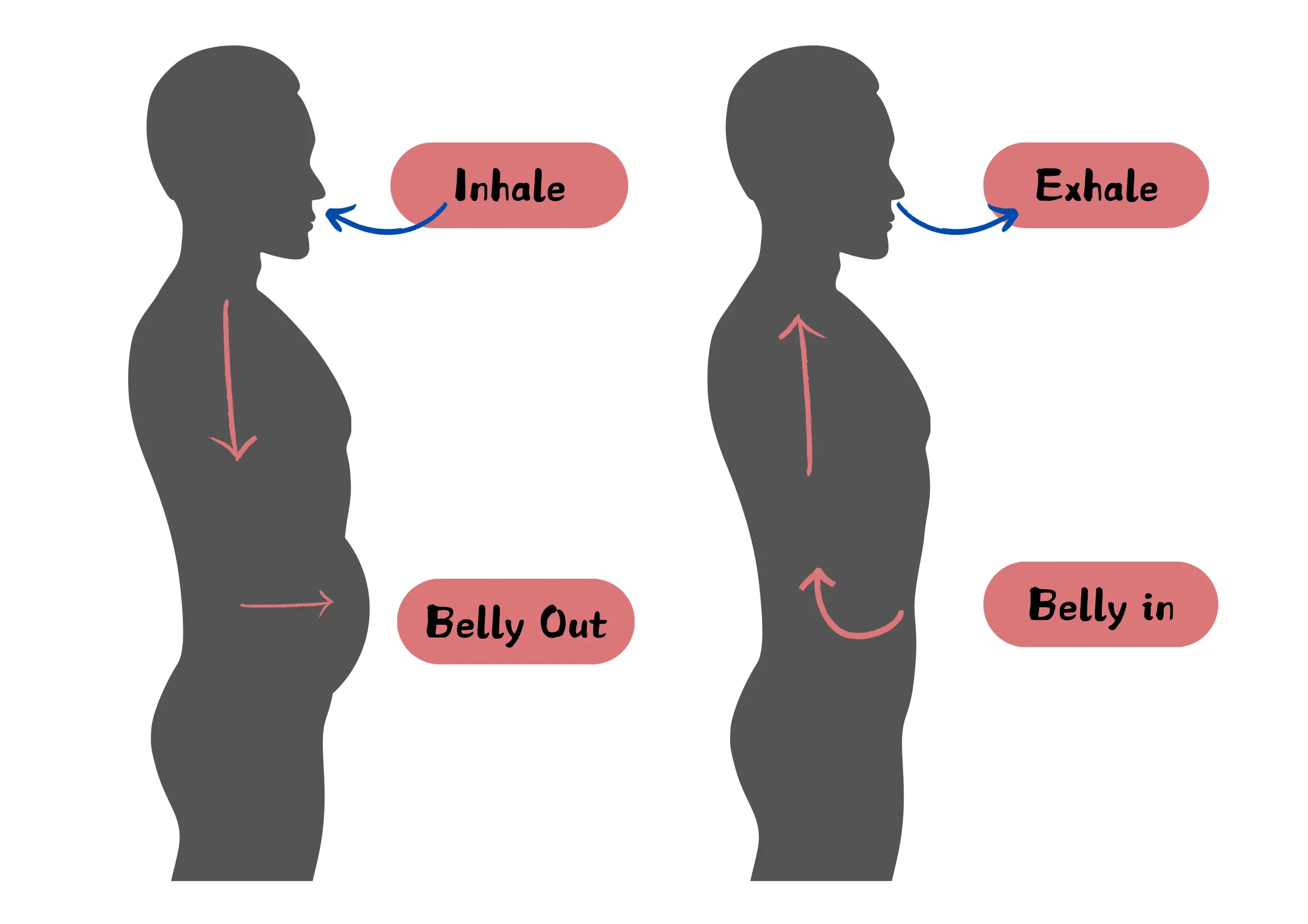 Diaphragmatic breathing