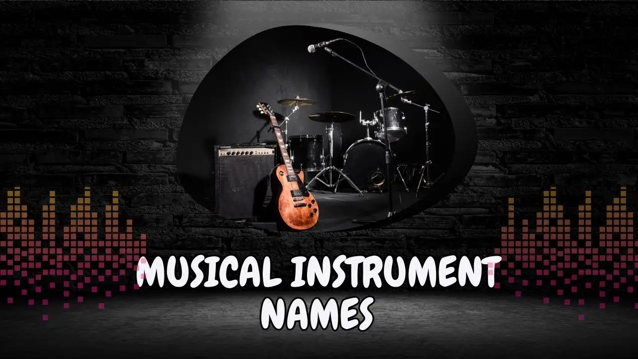 Musical instrument names