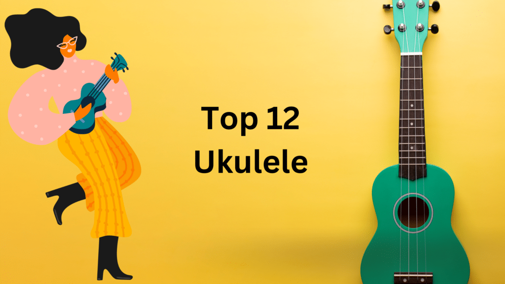 Top 12 Ukulele Price in India musicmaster.in
