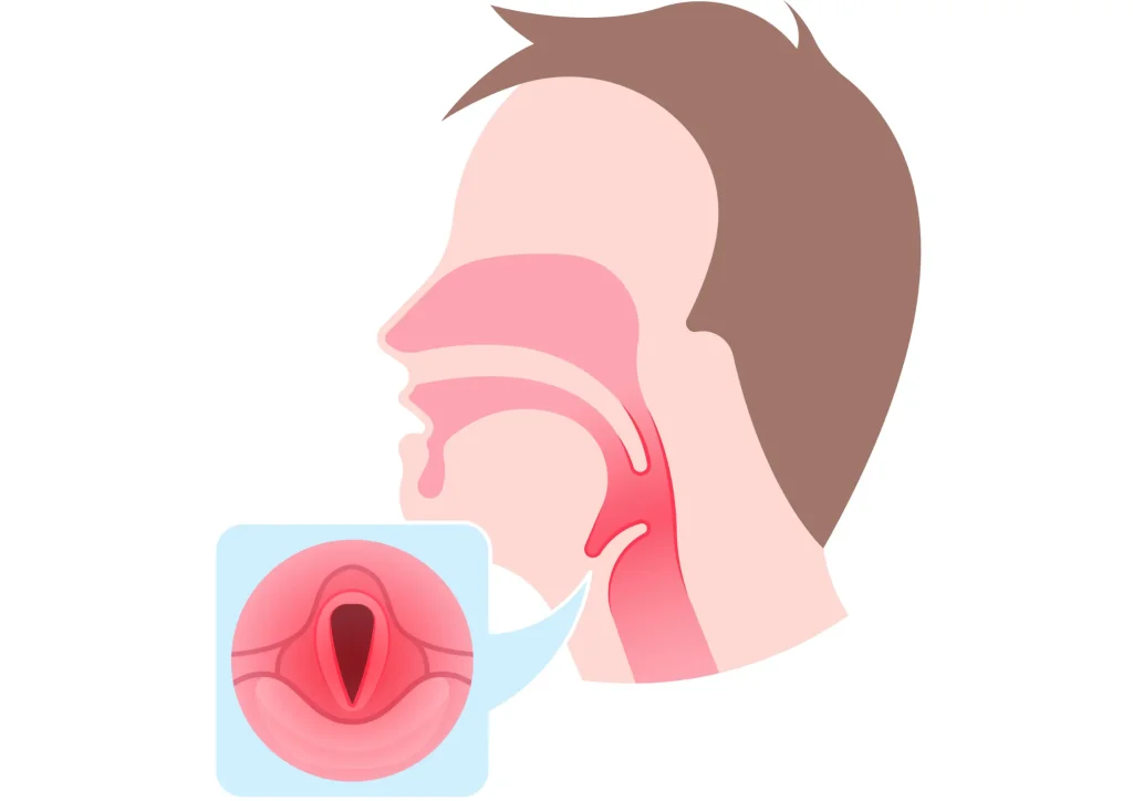 Vocal Cord In Singing