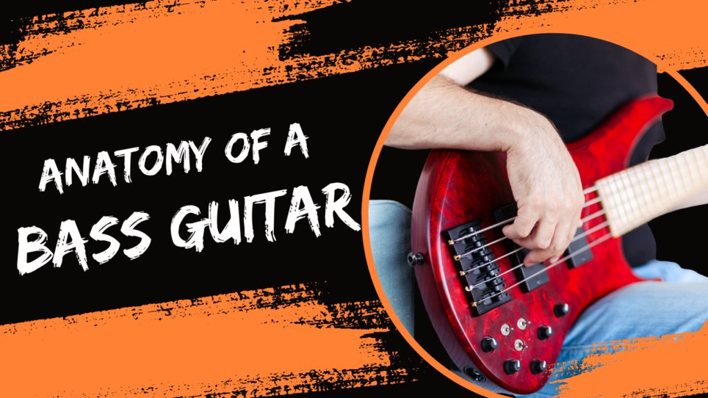 anatomy-of-bass-guitar-musicmaster