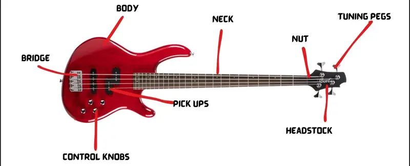 anatomy-of-bass-guitar