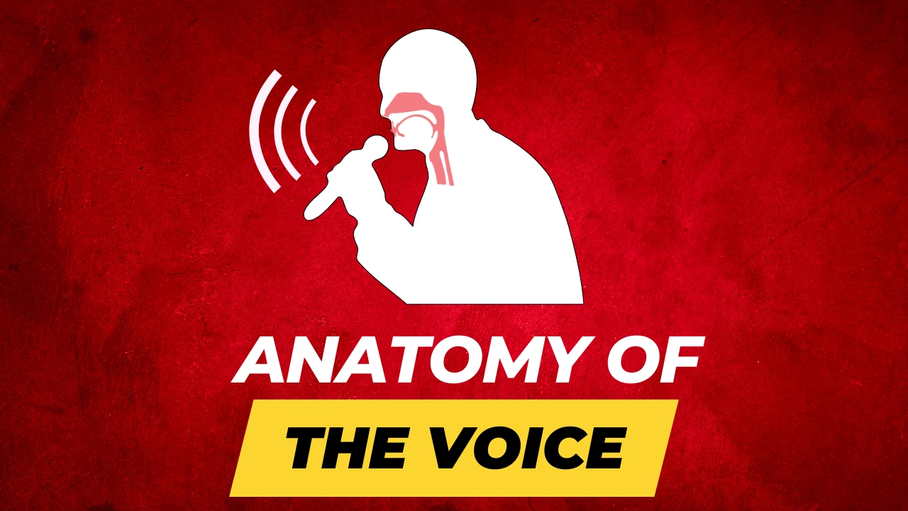 anatomy-of-the-voice