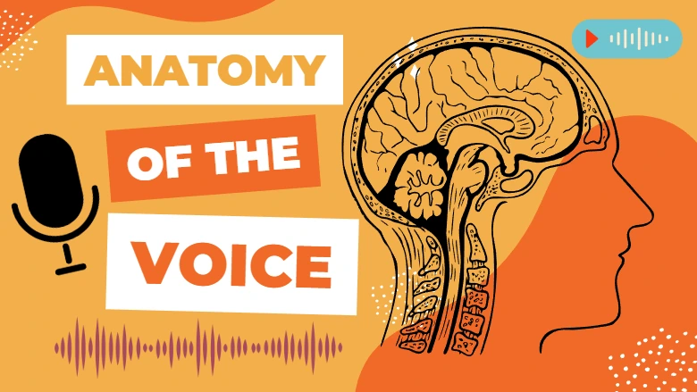 anatomy-of-the-voice