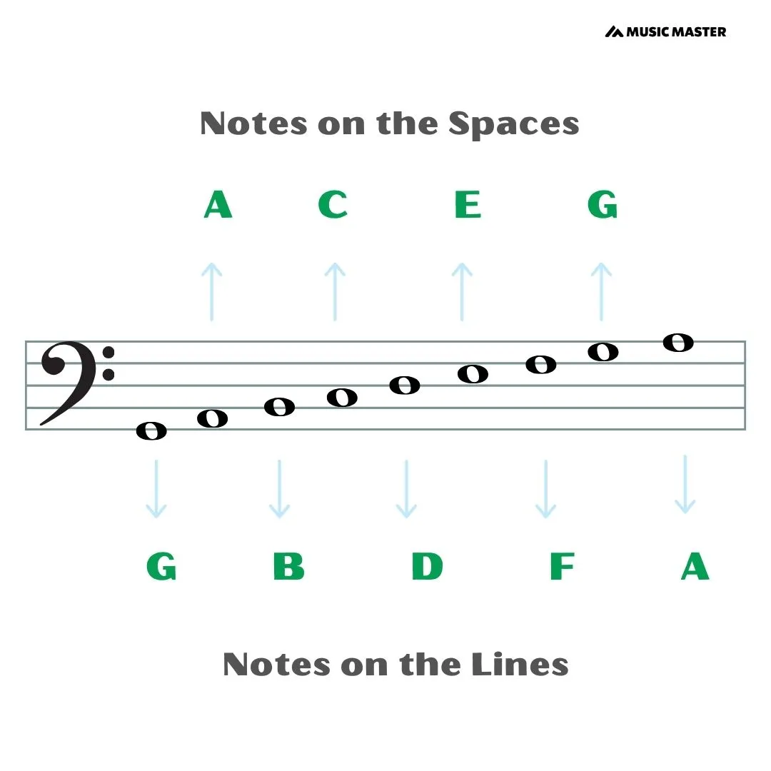 bass-notes