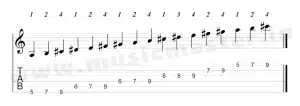 e-major-scale-5th-position-tabs-w