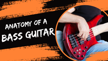 anatomy-of-bass-guitar-musicmaster