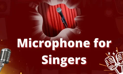 Microphone for singers