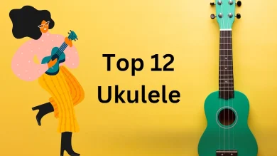 top-12-ukulele-price-in-india