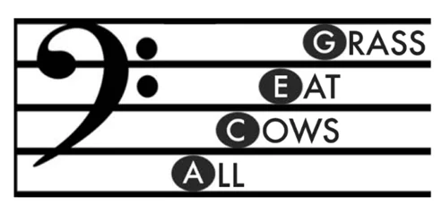 grass-eat-cows-all