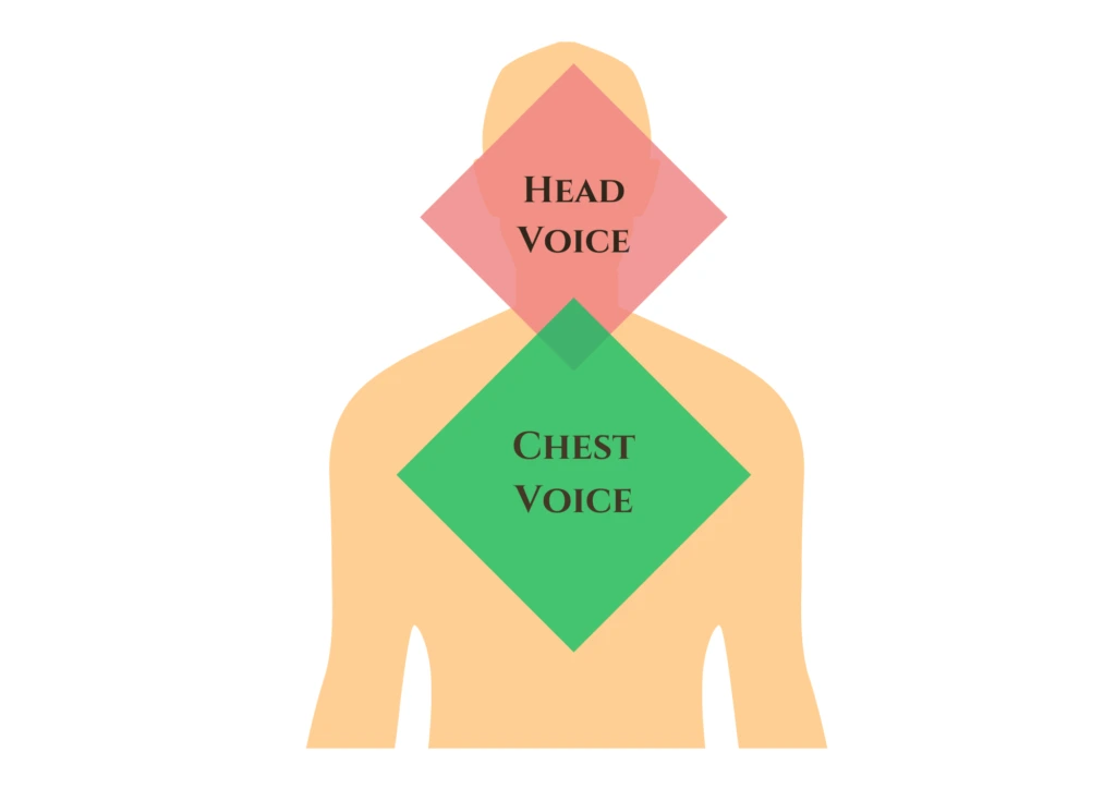 head-voice-and-chest-voice