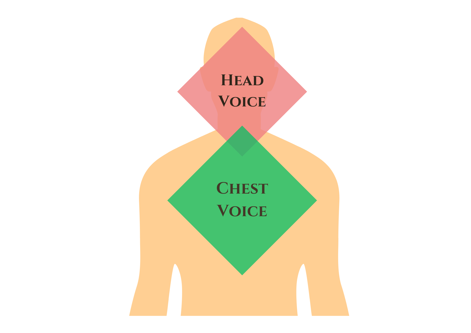 Head voice and chest voice - Musicmaster