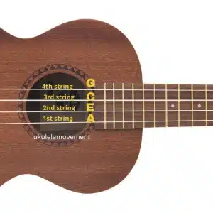 image-one-ukulele-strings