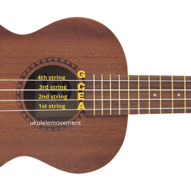 Ukulele Strings And Tuning | MUSIC MASTER