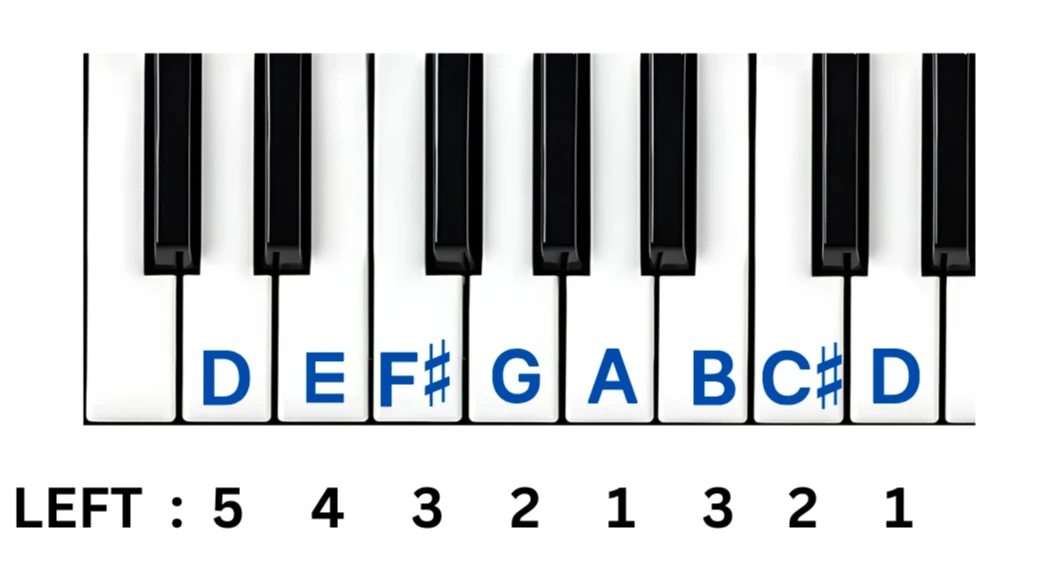 D major scale on piano using left hand