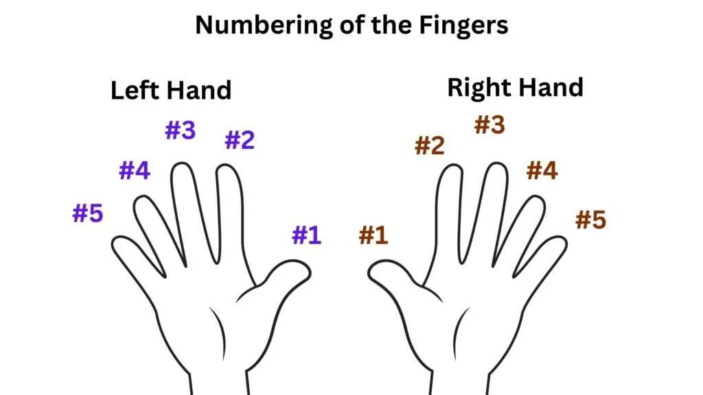 numbering-of-the-fingers-to-play-piano