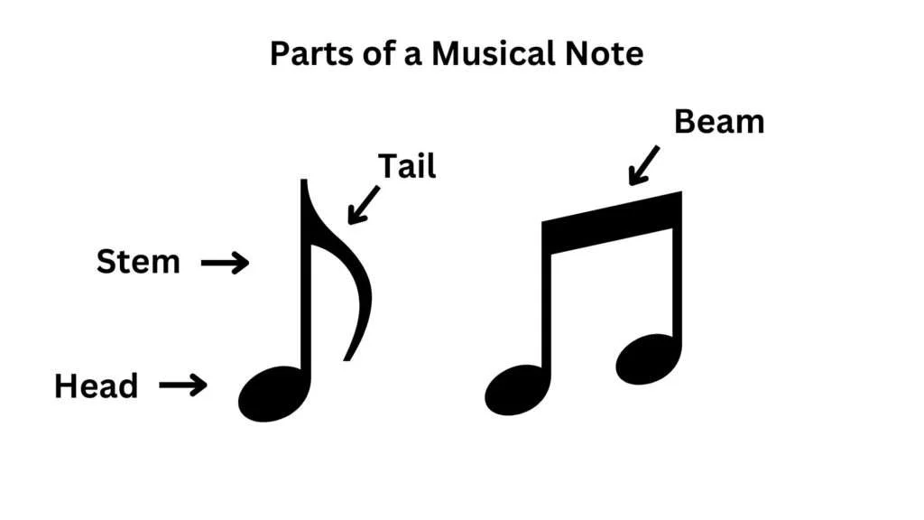 parts-of-musical-notes