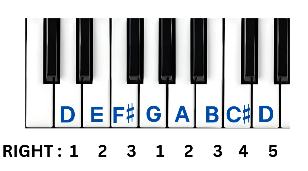 D major scale piano using right hand