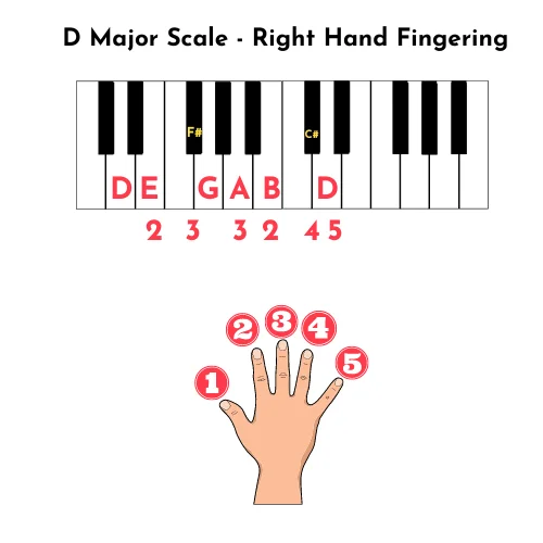 right-hand-d-major-scale