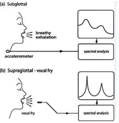 vocal-fry-subglottal-position