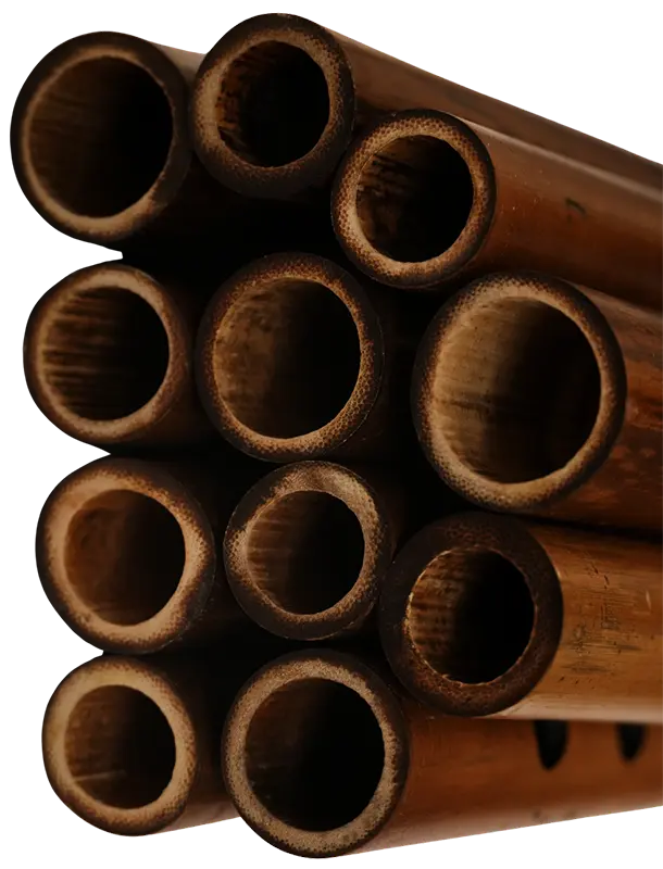 Carnatic Flute Learning