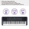 Yamaha PSR-E273 Portable Keyboard With 61 Keys - Image 3