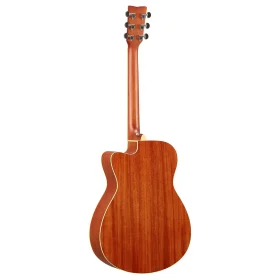 fsc_ta_natural_Acoustic_guitar