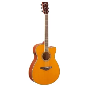 fsc_ta_Acoustic_guitar