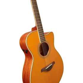 fsc_ta_natural_Acoustic_guitar