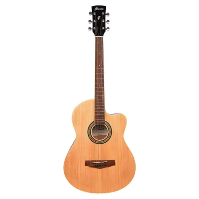 Ibanez-MD39C