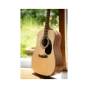 cort-ad810-acoustic-guitar-one