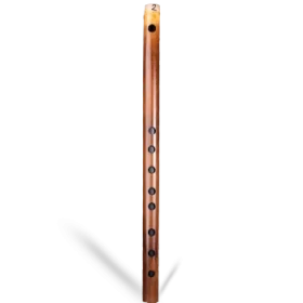 D Natural Carnatic Flute