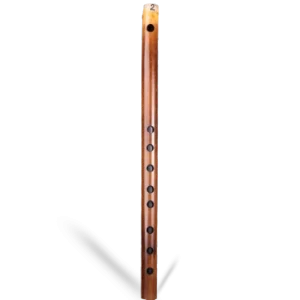 D Natural Carnatic Flute