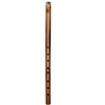 Flat View of D# Carnatic flute