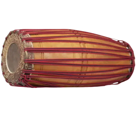 Mridangam Cross View