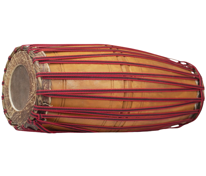 Mridangam Cross View