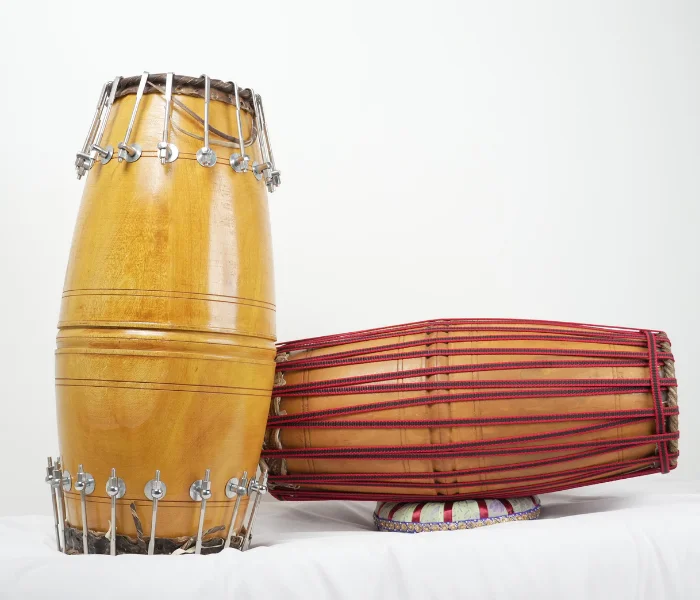 Types of Mridangam