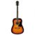 Vintage Sunburst