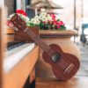 kala ka-15s soprano ukulele