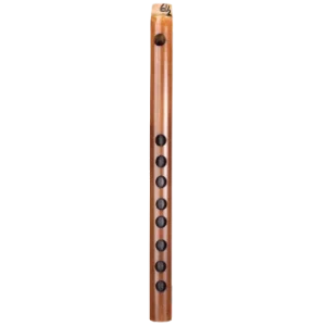 A# (1)-carnaticflute