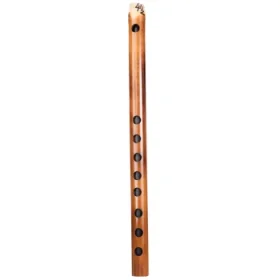 F# (2)-carnaticflute