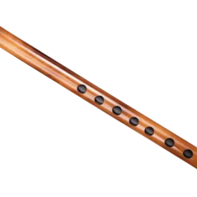 F#-carnaticflute