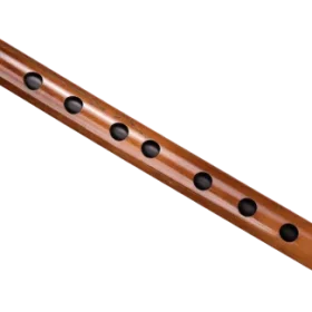 F#-3-carnaticflute