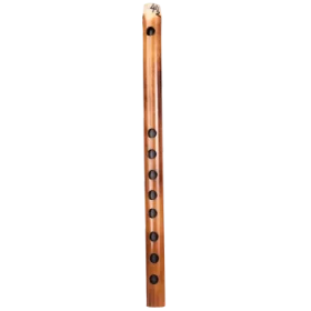 F# (3)-carnaticflute