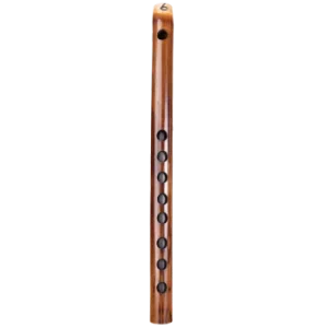 A Flute web