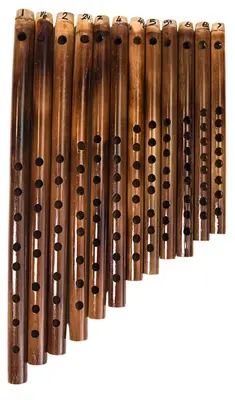 Best Carnatic Flutes Collections