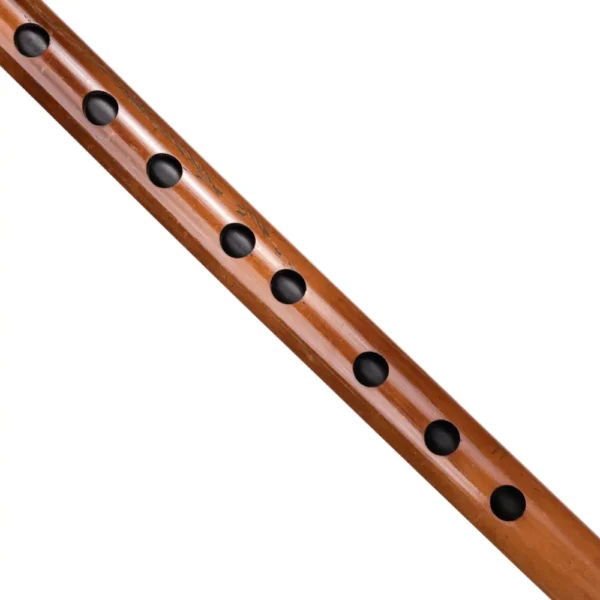 D sharp carnatic flute closer look