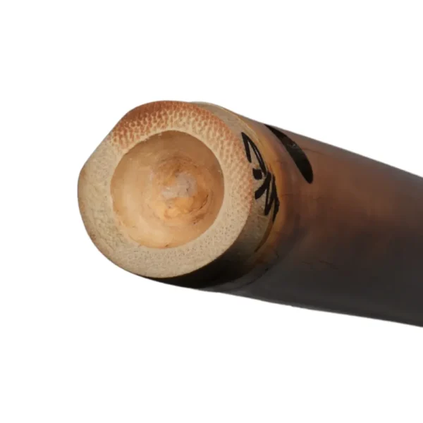 Natural node of A# bass Carnatic flute