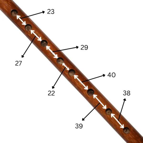 Closer View of finger holes in B bass Carnatic flute
