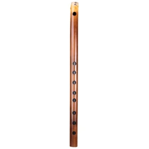musicmaster-d-carnatic-flute -front-view
